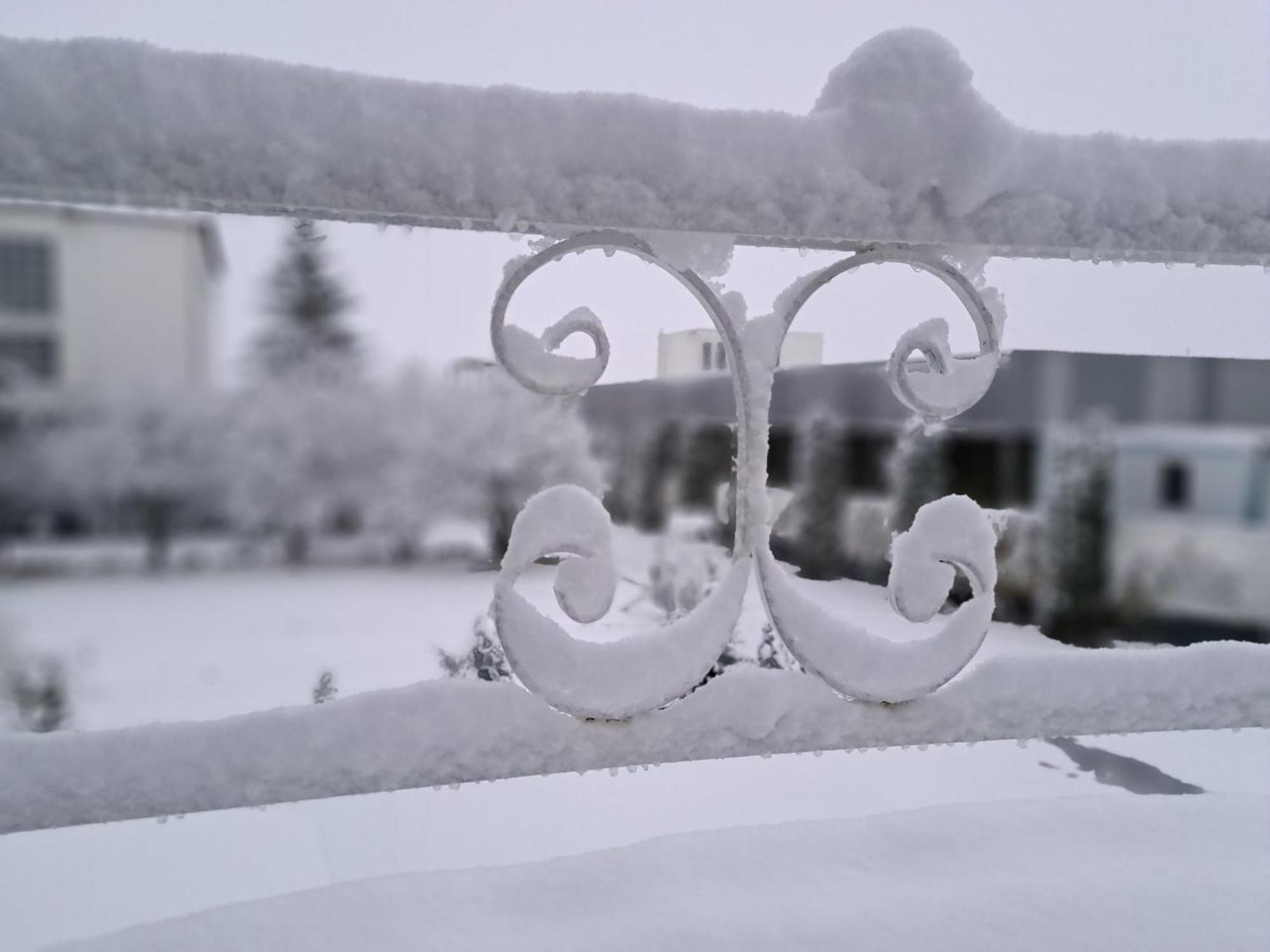 Pensiunea Diamant Ghimbav エクステリア 写真
